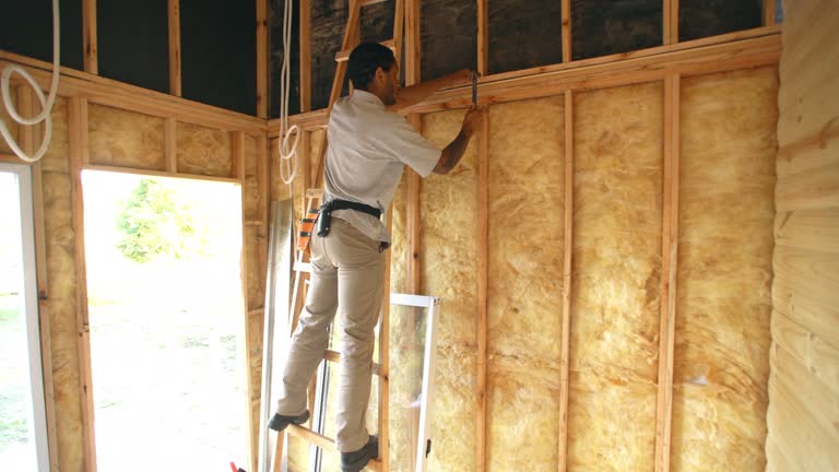 Best Attic Insulation Installation  in Keenesburg, CO